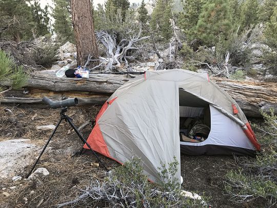 With their hunting area a long hike from the truck, the young hunters decided to hunt out of a spike camp much closer to where they had seen the big buck during preseason scouting.